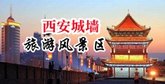 几支大鸡巴插我视频中国陕西-西安城墙旅游风景区